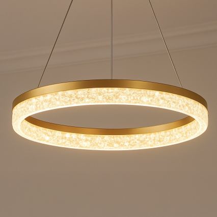 GALA LED Cable Pendant Light, 25 W, 230 V, Ø 50 cm, Gold