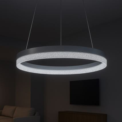 GALA LED cable pendant light LED/25W/230V Ø 50 cm Silver