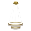 GALA LED cable-suspended pendant, 54W/230V, Ø 60 cm, Gold