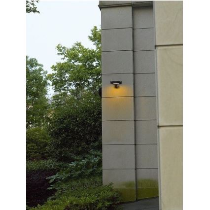 Gardino LX1241A - LED Outdoor wall light MARGHERITA LED/15W/230V IP54