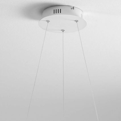 Gea Luce DIVA S G TITANIO - LED Dimmable chandelier on a string DIVA LED/44W/230V grey