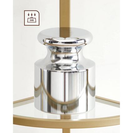 GLASY Gold Bookcase