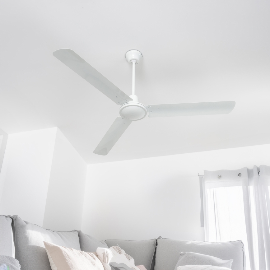 Globo - Ceiling fan