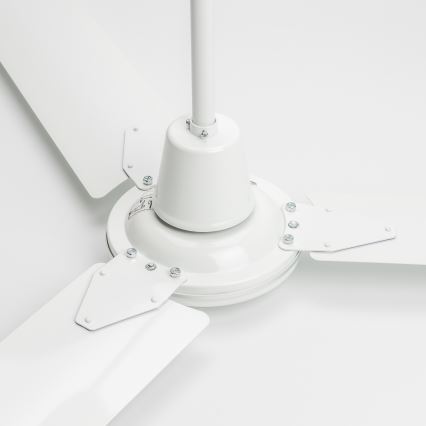 Globo - Ceiling fan