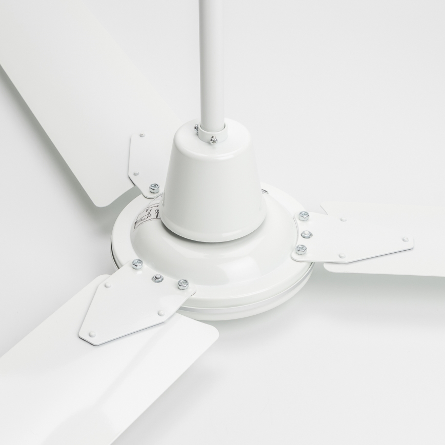 Globo - Ceiling fan
