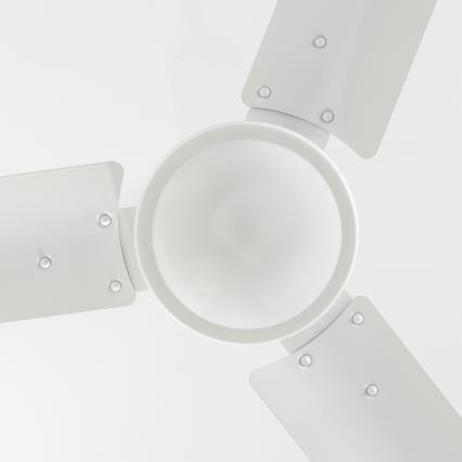 Globo - Ceiling fan