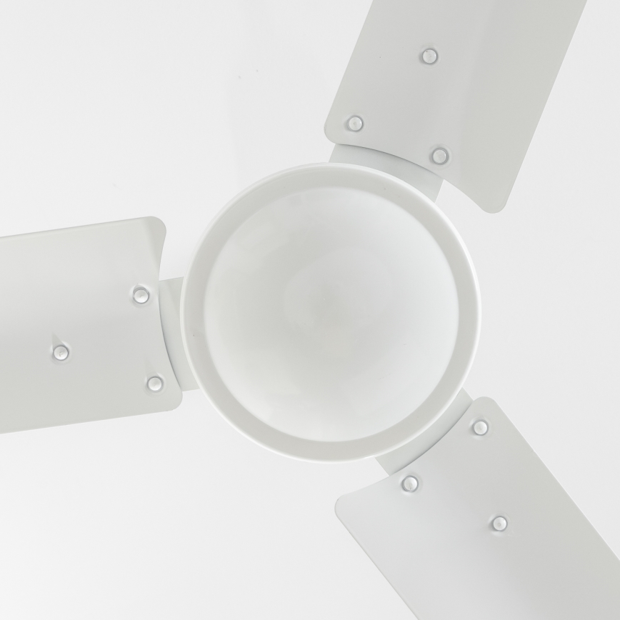 Globo - Ceiling fan