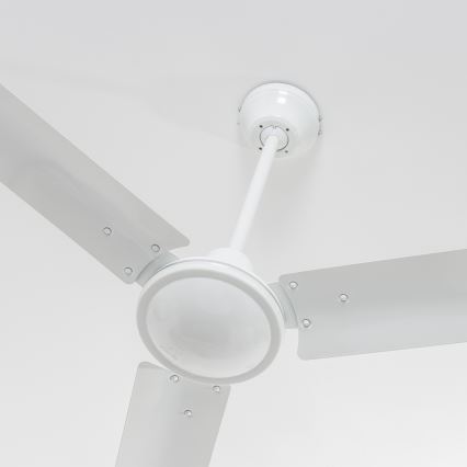 Globo - Ceiling fan