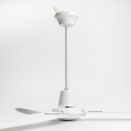 Globo - Ceiling fan