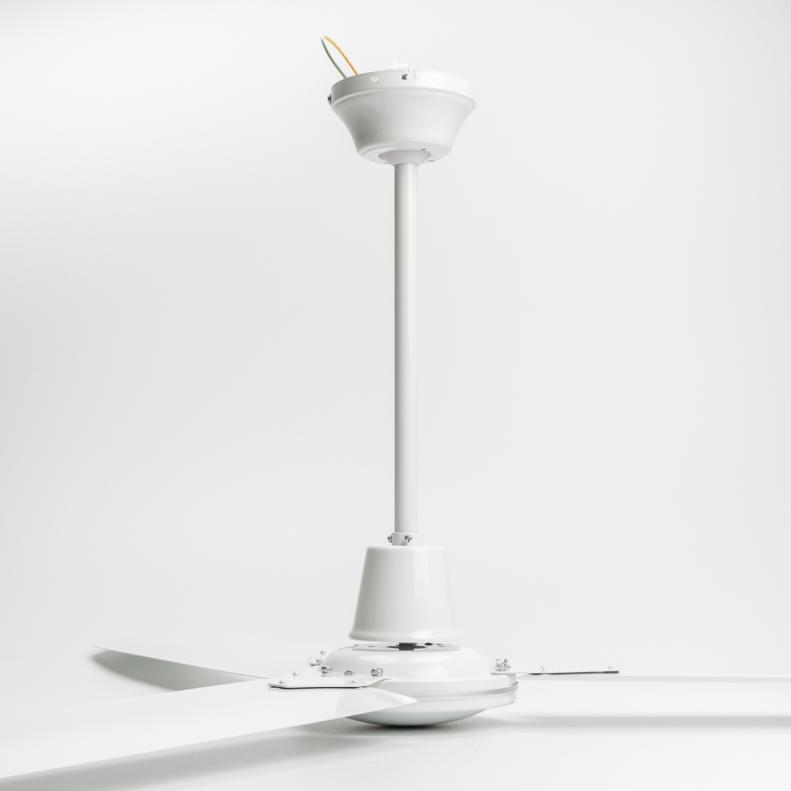 Globo - Ceiling fan