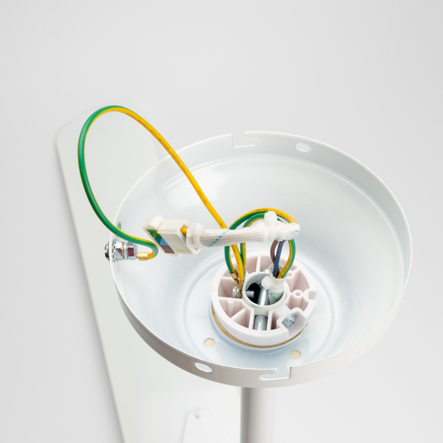 Globo - Ceiling fan