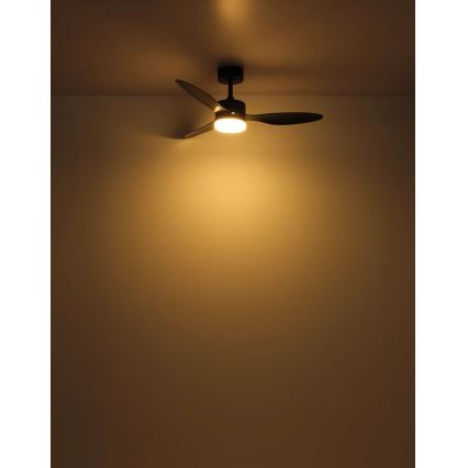Globo - LED Dimmable ceiling fan LED/20W/230V 2700-6500K + remote control
