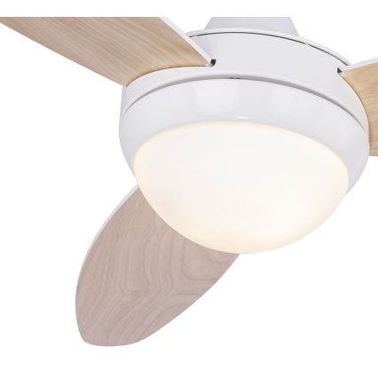 Globo - Ceiling fan 2xE14/40W/230V + remote control