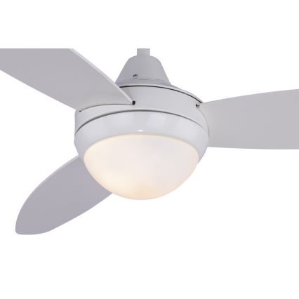 Globo - Ceiling fan 2xE14/40W/230V + remote control