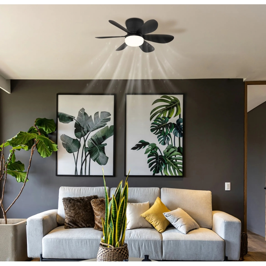 Globo - Dimmable LED Ceiling Fan LED/5W/230V 2700-6500K Black + Remote Control