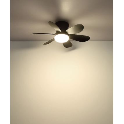 Globo - Dimmable LED Ceiling Fan LED/5W/230V 2700-6500K Black + Remote Control