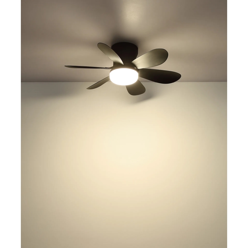 Globo - Dimmable LED Ceiling Fan LED/5W/230V 2700-6500K Black + Remote Control