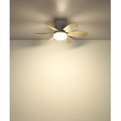 Globo - Dimmable LED ceiling fan LED/5W/230V 2700–6500K beige + remote control
