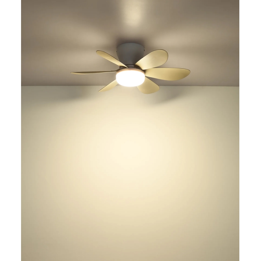 Globo - Dimmable LED ceiling fan LED/5W/230V 2700–6500K beige + remote control