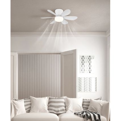 Globo - Dimmable LED Ceiling Fan LED/5W/230V 2700-6500K White + Remote Control