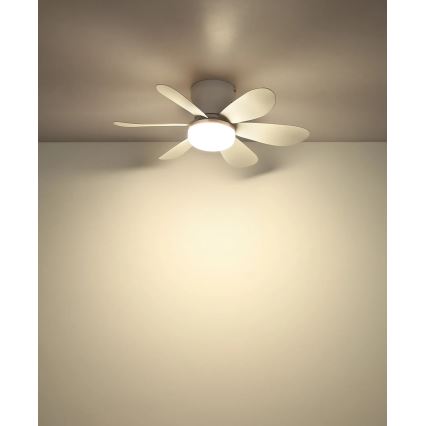Globo - Dimmable LED Ceiling Fan LED/5W/230V 2700-6500K White + Remote Control