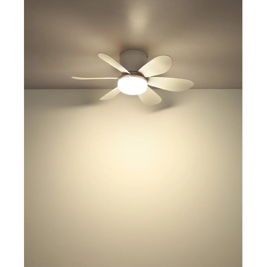 Globo - Dimmable LED Ceiling Fan LED/5W/230V 2700-6500K White + Remote Control