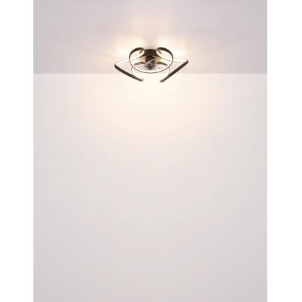 Globo - LED Dimmable ceiling fan LED/40W/230V 3000-6000K + remote control