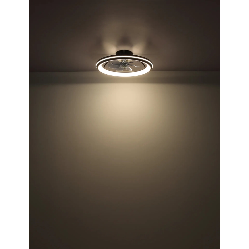 Globo - LED Dimmable ceiling fan LED/40W/230V 3000-6500K + remote control