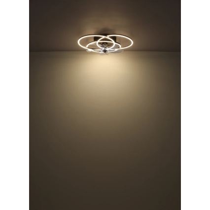 Globo - LED Dimmable Ceiling Fan LED/40W/230V 3000-6500K Black + Remote Control