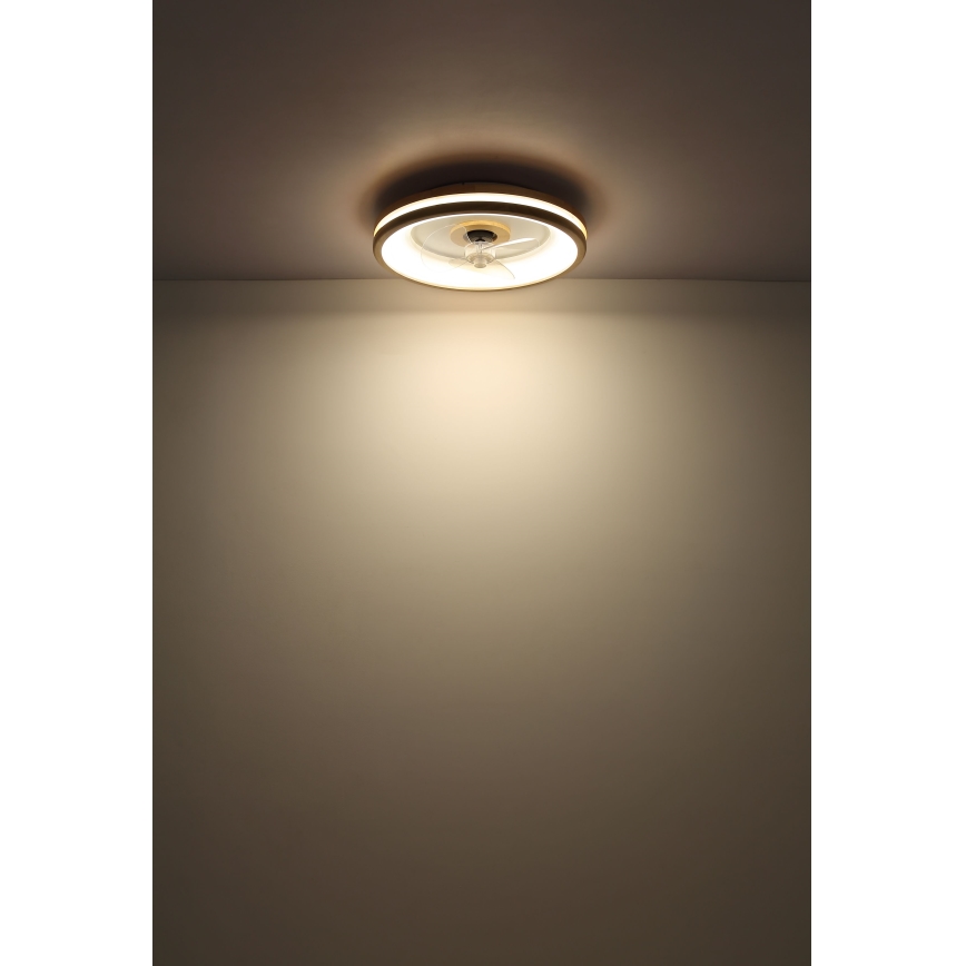 Globo - LED Dimmable ceiling light with a fan LED/30W/230V 2700-6500K brown + remote control