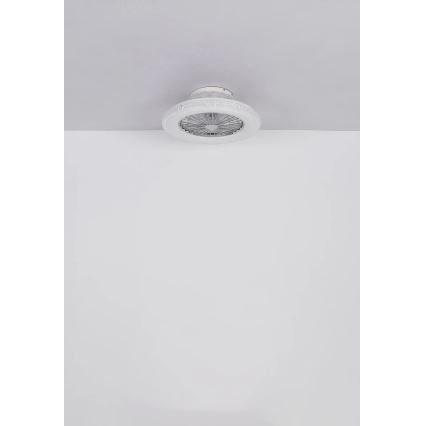 Globo - LED Dimmable ceiling fan LED/40W/230V 3000-6500K + remote control