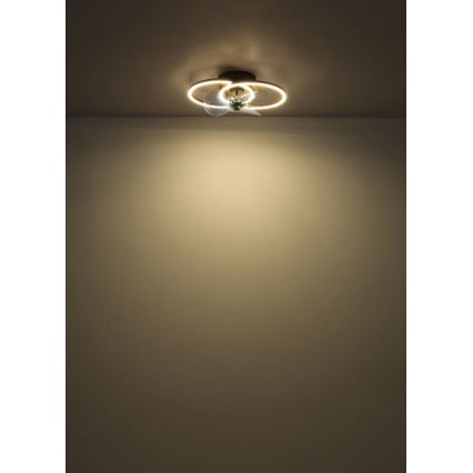 Globo - LED Dimmable ceiling fan LED/24W/230V 2700-6500K + remote control