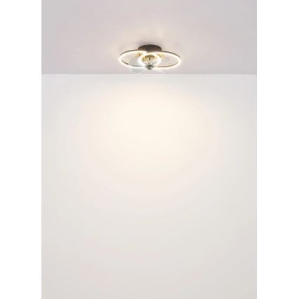 Globo - LED Dimmable ceiling fan LED/24W/230V 2700-6500K + remote control