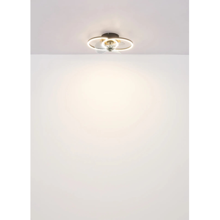 Globo - LED Dimmable ceiling fan LED/24W/230V 2700-6500K + remote control