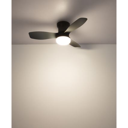 Globo - Dimmable LED Ceiling Fan, 15W/230V, 2700–6500K, Black + Remote Control