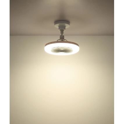 Globo - Dimmable LED Ceiling Fan LED/20W/230V 3000-6500K White + Remote Control