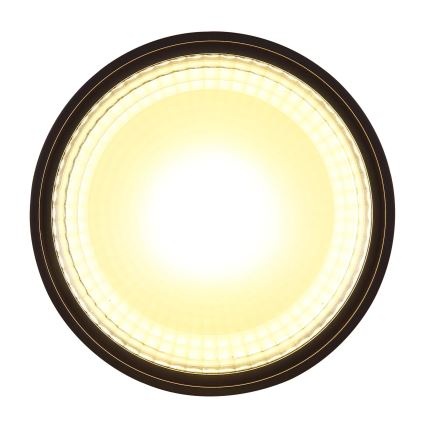 Globo - LED Ceiling light LED/12W/230V 3000K