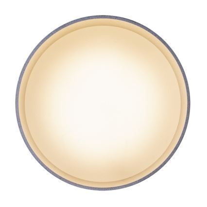 Globo 12015N - LED ceiling light JENNY LED/8W/230V + LED/4W/230V