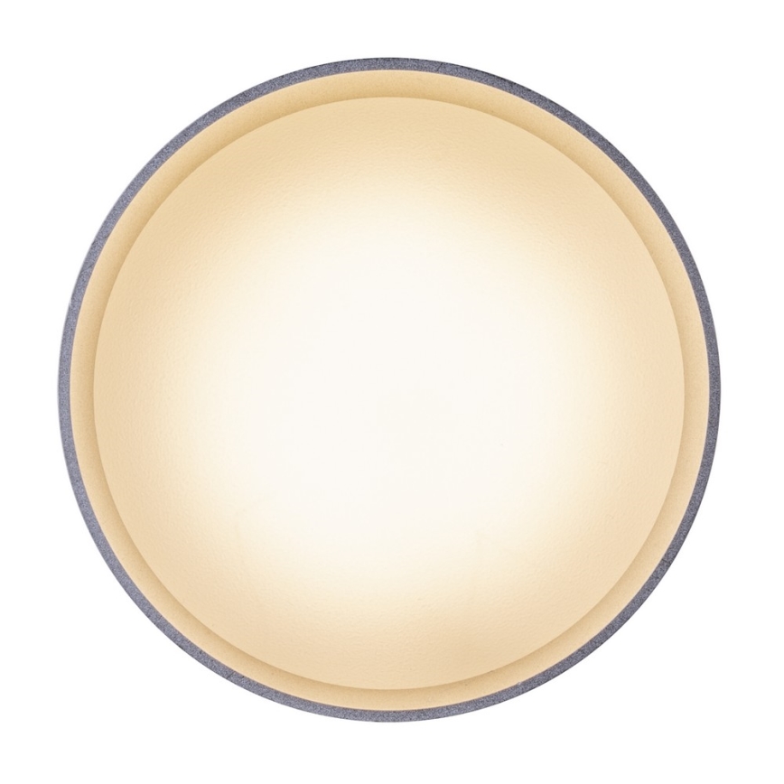 Globo 12015N - LED ceiling light JENNY LED/8W/230V + LED/4W/230V