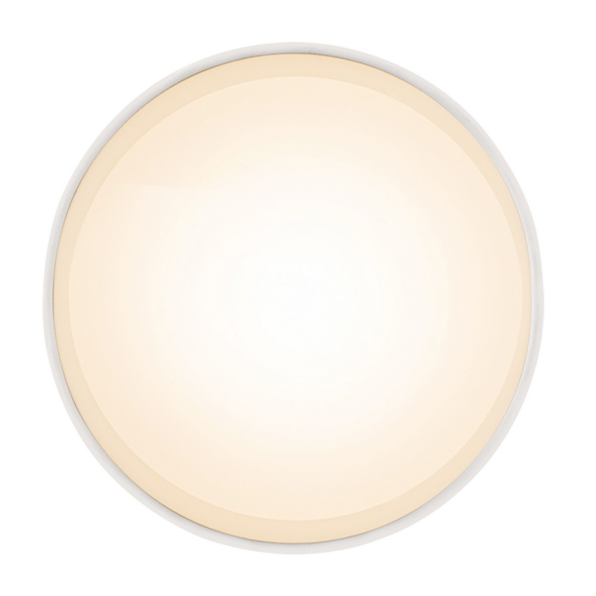 Globo 12015W - LED ceiling light JENNY LED/8W/230V
