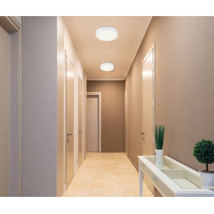 Globo - LED Dimmable ceiling light LED/28W/230V