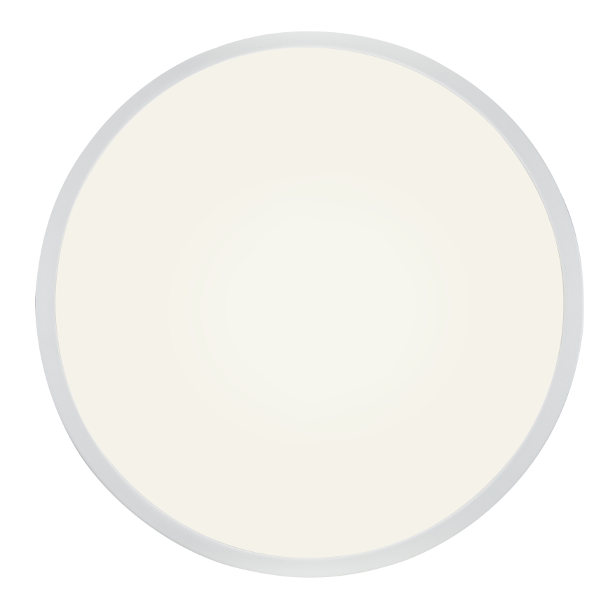 Globo - LED Dimmable ceiling light LED/28W/230V
