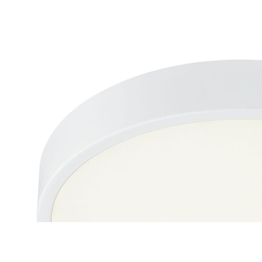 Globo - LED Dimmable ceiling light LED/28W/230V