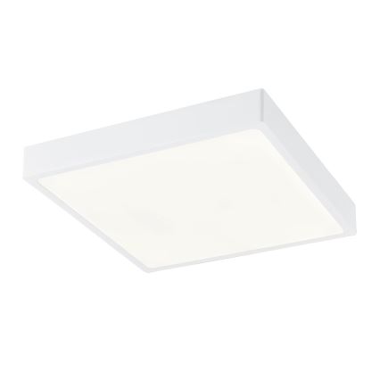 Globo - LED Dimmable ceiling light LED/28W/230V