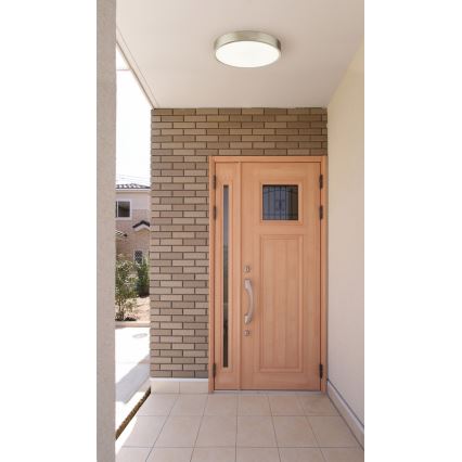 Globo - Dimmable 22W LED Ceiling Light, 230V