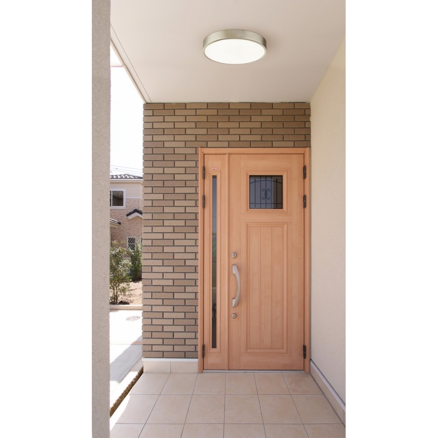 Globo - Dimmable 22W LED Ceiling Light, 230V