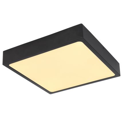 Globo - LED ceiling light LED/22W/230V