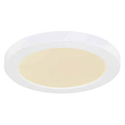 Globo - LED Ceiling light LED/18W/230V 3000/4000/6500K white