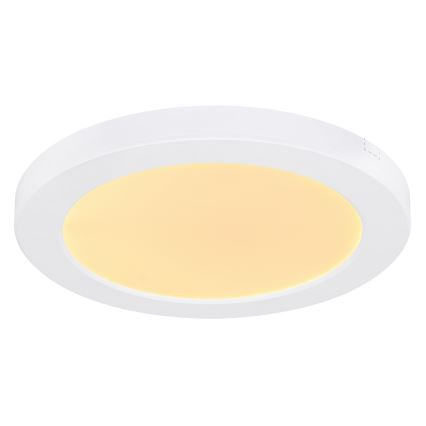 Globo - LED Ceiling light LED/18W/230V 3000/4000/6500K white