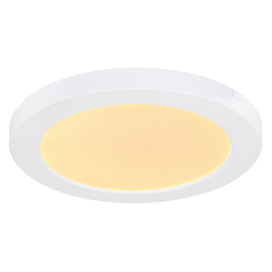 Globo - LED Ceiling light LED/18W/230V 3000/4000/6500K white